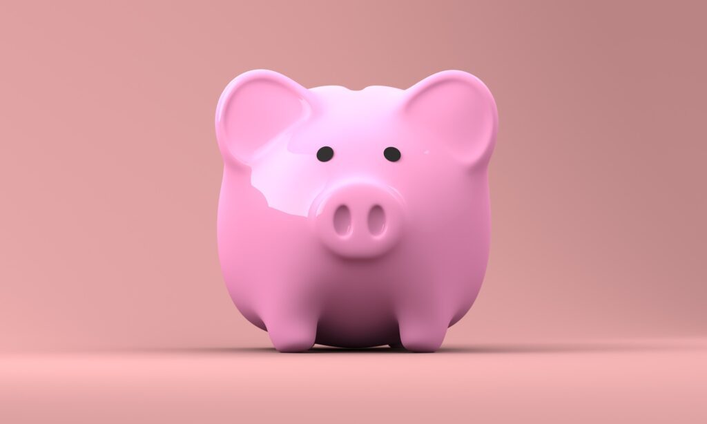 Pink piggy bank for teaching kids about money